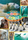 【中古】体験!旭山動物園/DVD/VIBY-5015