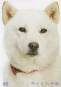 VALUE BOOKS㤨֡šۥ/DVD/VIBG-5010פβǤʤ322ߤˤʤޤ