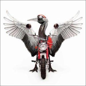 šۤĤФDVDա/CD/PCCA-03280