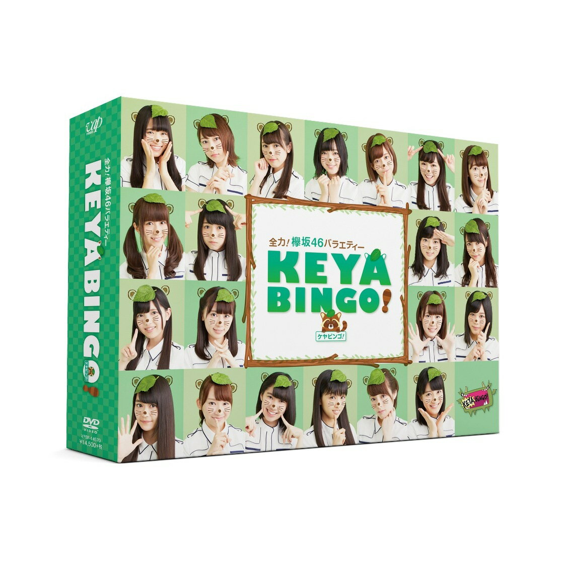【中古】全力！欅坂46バラエティー　KEYABINGO！　DVD-BOX＜初回生産限定＞/DVD/VPBF-14570