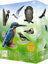 【中古】新 野鳥図鑑 DVD-BOX/DVD/NSDX-13047