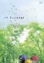 【中古】いま、会いにゆきます 5巻BOX/DVD/TDV-15356D