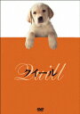 【中古】クイール/DVD/DA-0387