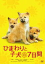 【中古】ひまわりと子犬の7日間/DVD/DB-0688