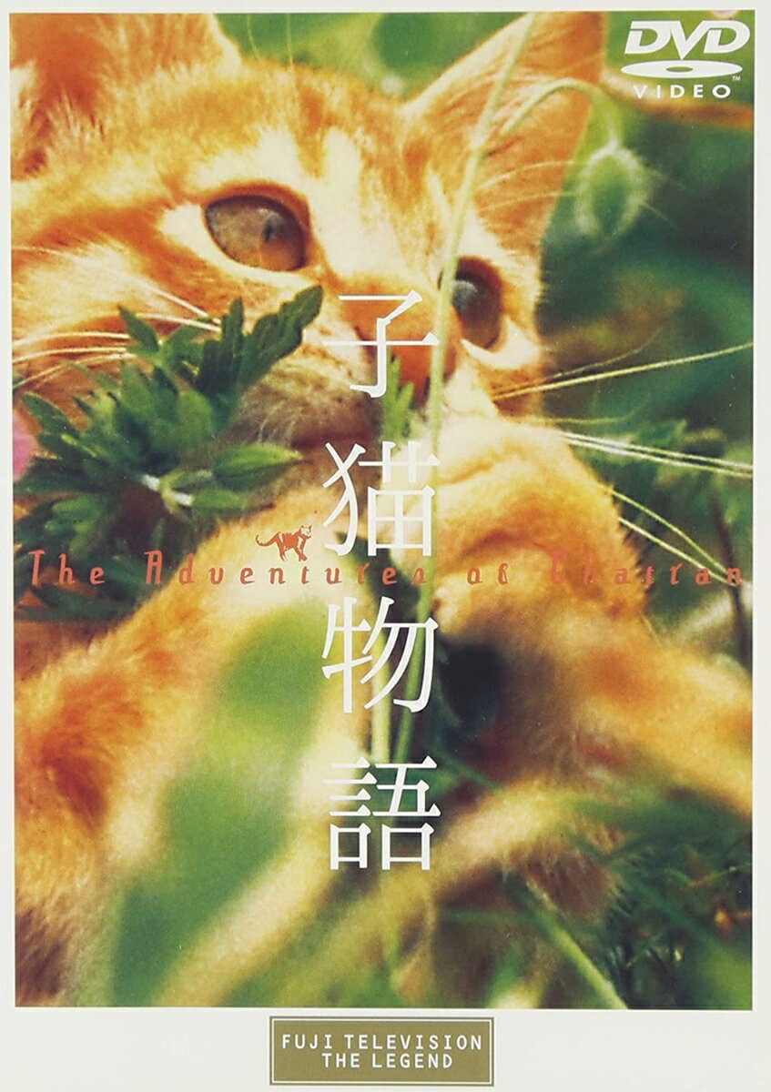 【中古】子猫物語/DVD/PCBC-50120