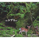 【中古】the ジブリ set/CD/XNAE-10016