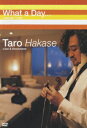 【中古】What a Day.../DVD/HUBD-10902