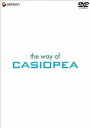 【中古】the way of CASIOPEA/DVD/GNBL-1002