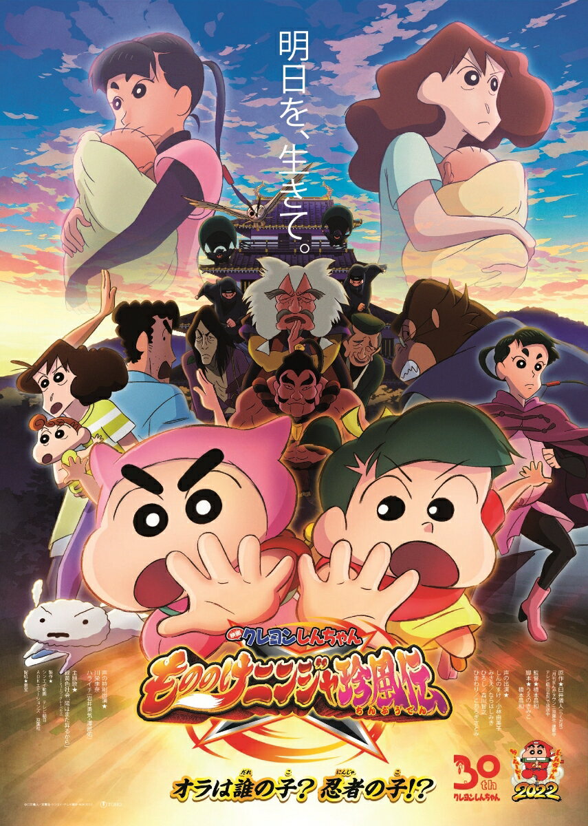 【中古】映画クレヨンしんちゃん　もののけニンジャ珍風伝/DVD/BCBA-5126