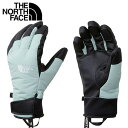 THE NORTH FACE【F24・FAKIE GLOVE:MT・ミューテッドパイン】NN62404 ノースフェイス フェイキーグローブ