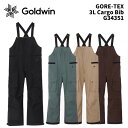 GOLDWIN G34351 GORE-TEX 3L Cargo Bib 24-25(2025)モデル ゴールドウィン スキーウェア パンツ