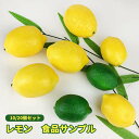 食品サンプル 本物 そっくり レモン リアル 人気 檸檬 れもん 果物 食品模型 食品サンプル 2色 10個セット フルーツ模型 ディスプレイ フェイク 模型 ...