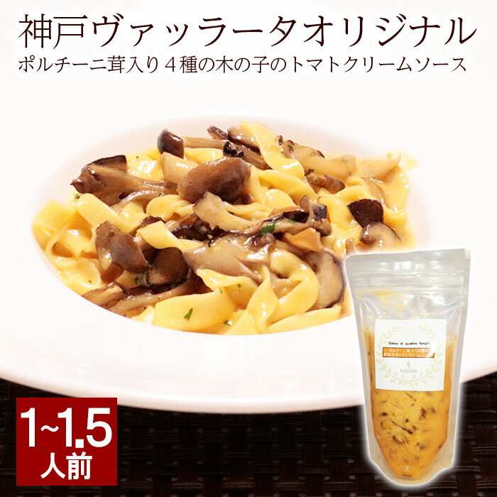 ポルチーニ茸入り4種の木の子のトマトクリームソース パスタソース pasta ポルチーニ キノコ トマト クリームパスタ …