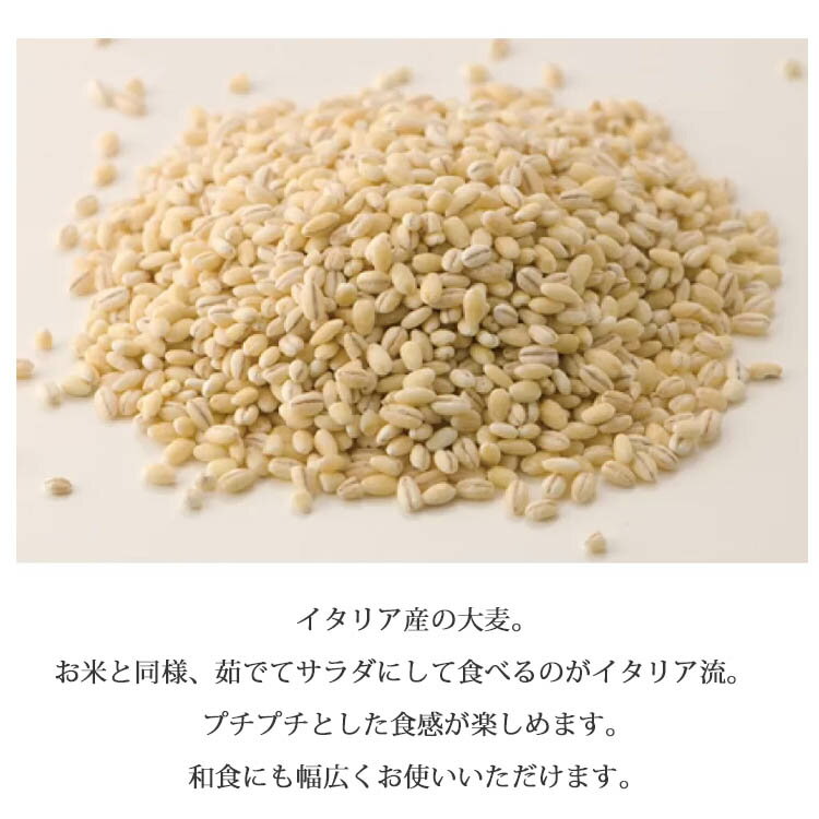 大麦 オルツォ・ペラート サポーリデイノルチャ Sapori Di Norcia サラダ 和食 イ...
