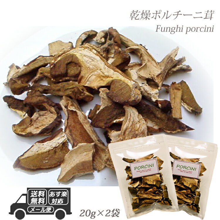 イタリア産 乾燥 ポルチーニ茸 40g 20