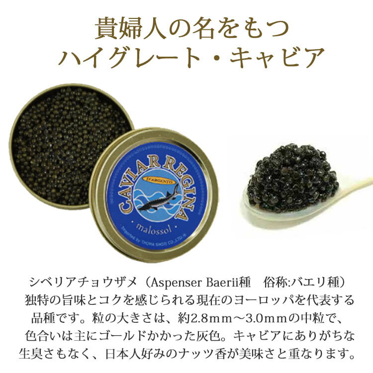 �����ꥢ�� ����ӥ� �쥸���� ���른����� 50g�� ����ӥ� ��� �������� ��̣���� ���Ĥޤ� ���� �����ɥ֥� ����� ��ʪ ͢������ ������