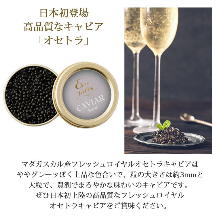 �ޥ��������뻺�ե�å��奭��ӥ� �����ȥ� 12g�� ����ӥ� ��� ��鿩�� �������� ��̣���� ���Ĥޤ� ���� �����ɥ֥� ����� ��ʪ ͢������ ������ ������̣