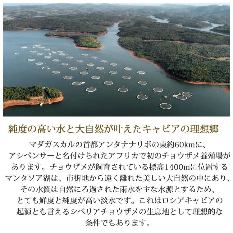 �ޥ��������뻺�ե�å��奭��ӥ� �����ȥ� 50g�� ����ӥ� ��� ��鿩�� �������� ��̣���� ���Ĥޤ� ���� �����ɥ֥� ����� ��ʪ ͢������ ������ ������̣