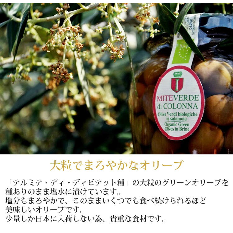 �ߥƥ������ ���꡼�󥪥꡼�֤μ� 560g Colonna ������� �����ꥢ�� ���Ĥޤ� ���� �����ɥ֥� �����ꥢ�� ���� ���ե�