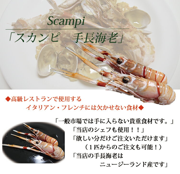 手長海老 スカンピ scampi イタリアン 高級レストラン パスタ パスタソース グリル てながえび 出汁 ブイヨン