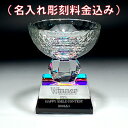 名入れ トロフィー 表彰 受賞 記念品スポーツ トロフィー 【クリスタルトロフィーカップ 大】大会記念 優勝記念 参加記念品 ホールインワン 記念品