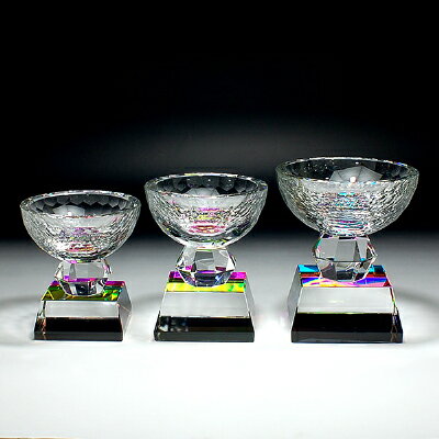 名入れ トロフィー 表彰 受賞 記念品スポーツ トロフィー　【クリスタルトロフィーカップ 大】大会記念 優勝記念 参加記念品 ホールインワン 記念品