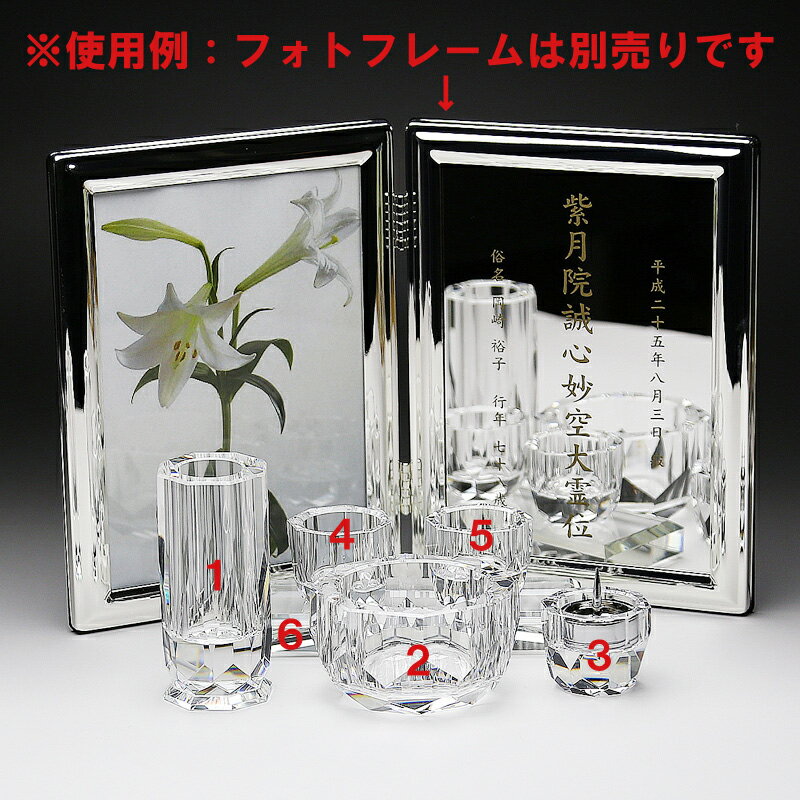 ���ꥹ����ʩ�6�����åȡ���������ǭ���ڥå��ѥڥåȥ��ꥢ�� �긵���ܡ�ʩ������