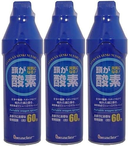 【送料無料 3本セット】リーダー 携帯用 酸素 5リットル入り 3本セット