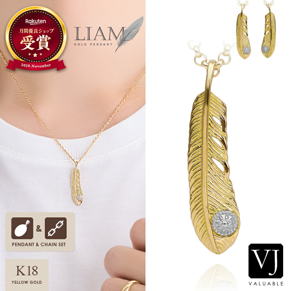 VJ 【 ブイジェイ 】 18金 ネックレス メンズ イエローゴールド プラチナ 18k 「 Liam 」 フェザー ペ..