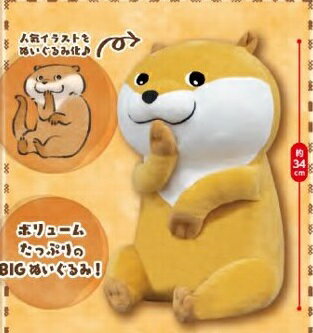 可愛い嘘のカワウソ BIGぬいぐるみ〜だぬ〜 予約 6月16日発売のサムネイル