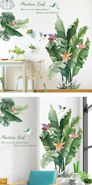 ウォールステッカー 植物 花 おしゃれ 南国 海 ヤシの葉 ビーチ 木 カフェ モンステラ リーフ モダン トロピカル 玄関 ヤシの木 緑 壁シール サーフ 西海岸 夏 大きな木 背景 鳥 インテリア かわいい 壁紙 海岸 シール 窓 ハワイ マリン 観葉植物 キッチン 葉 リゾート