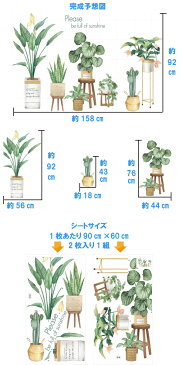 ウォールステッカー おしゃれ 花 植物 海 木 南国 グリーン モンステラ サボテン カフェ リーフ トロピカル 文字 ヤシの葉 ハワイ かわいい プランツ シール 緑 サーフ 西海岸 壁紙シール 玄関 植木鉢 キッチン トイレ 夏 ビーチ インテリア 雑貨 窓 観葉植物 葉っぱ
