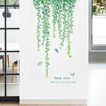 ウォールステッカー 植物 おしゃれ 木 南国 グリーン リーフ 蝶 花 木 インテリア モンステラ トロピカル かわいい つた 蔦 森 壁紙 シール つる アイビー カフェ モダン シンプル 観葉植物 葉 背景 夏 ウォールシール 緑 サーフ 西海岸 キッチン トイレ 秋 ハワイ 森林