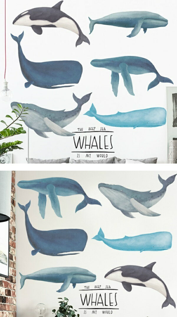 ウォールステッカー 動物 おしゃれ 子供部屋 クジラ 海 鯨 くじら 女の子 男の子 シャチ お風呂 ステッカー かわいい 子ども 窓 知育 海中 海底 トイレ シール インテリア 楽しい ガラス 玄関 英字 壁紙シール 風呂場 壁 飾り 病院 水中 水族館 クリニック 高級 美容室 病院