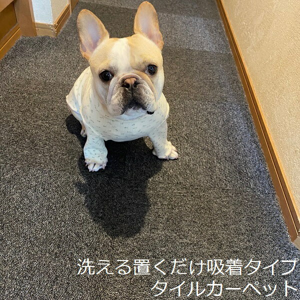 タイルカーペット 置くだけ 敷くだけ 吸着 ペット 洗える おしゃれ 犬 猫 40x40 滑らない 