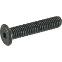 TRUSCO ヘックスローブ超極低頭ねじ ステンレス 黒染 M3×16 10本入 1Pk (B1850316)