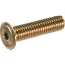 TRUSCO ヘックスローブ超極低頭ねじ ステンレス ブロンズ M5×30 10本入 1Pk (B1860530)