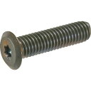 TRUSCO ヘックスローブ超極低頭ねじ ステンレス ブロンズ M2×4 10本入 1Pk (B1860204)