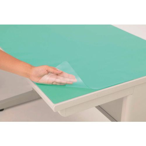 【期間限定!対象商品P2〜20倍】 ライオン　デスクマット（グリーンマット付・エコノミーPEタイプ）　No．6−PE　1050×625　27265　1枚 (NO.6PE)