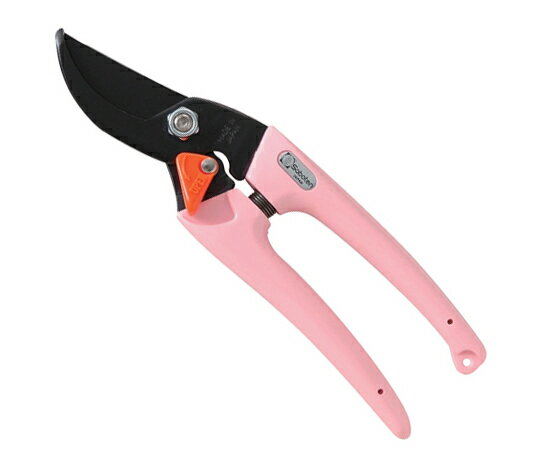 ��ǥ��������������ԥ� 1��