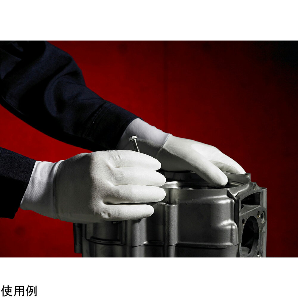 ʥΥƥ꡼ACʼΤҤ饳ȡS 1ޡ10ˡE0200 1(10)