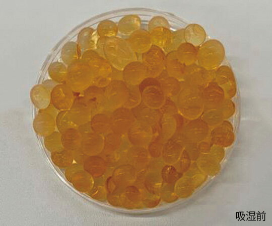 �������Х�ȥե꡼���ꥫ���� 1�̡�500g���ˡ�SBIOW500 1��