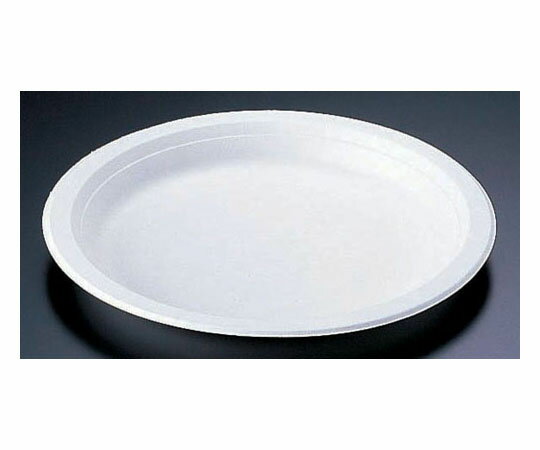 ��̳�ѥ⡼��� �ץ졼�� (50����) 15cm��BP-01 1������(50����)