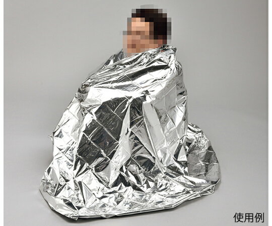 4�ء��Ų��ɴ�����������ߥ����ȡ�380396 1��