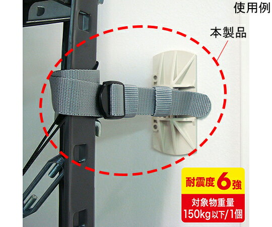 ���㥹�����ե졼��ۥ������2�����ꡡQL-E89 1���å�