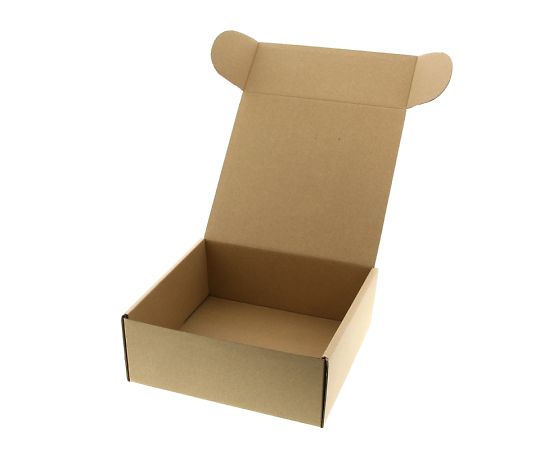 ナチュラルボックス　Z-4　無地　10枚　006200410 1パック(10枚入)