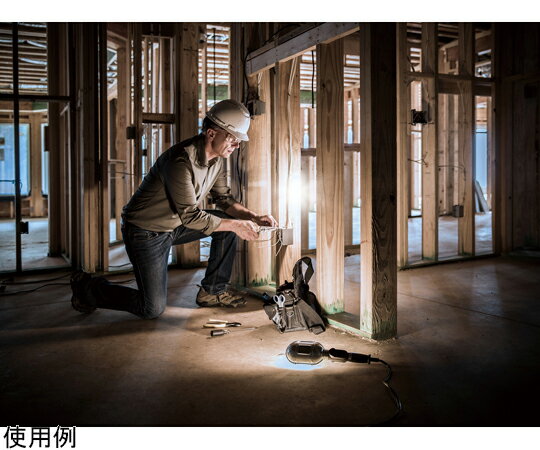 ���ż��ޥ��LED�饤�ȡ�45��20��61mm��COB-WL001 1��