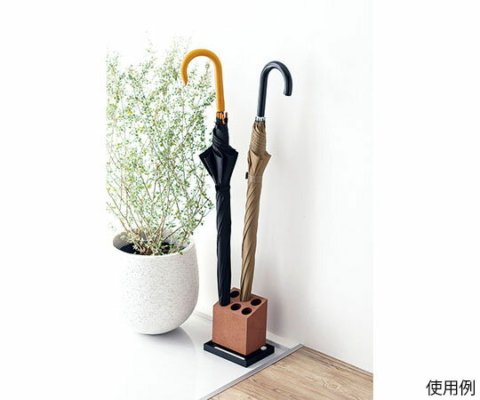 �����ڡ�����֥�饹����ɡ�6�ܼФᡡ�֥饦��ZAV5301 1��