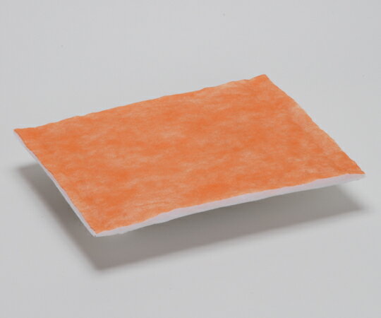 �����������۱��ץ�ե��륿����10������A1572 1��