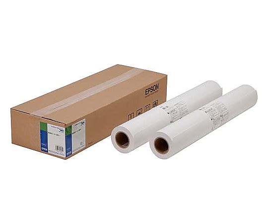 【SS限定 38万商品以上10%OFF】 普通紙ロール(薄手) 594mm×50m 2本　EPPP64A1 1箱(2本入)